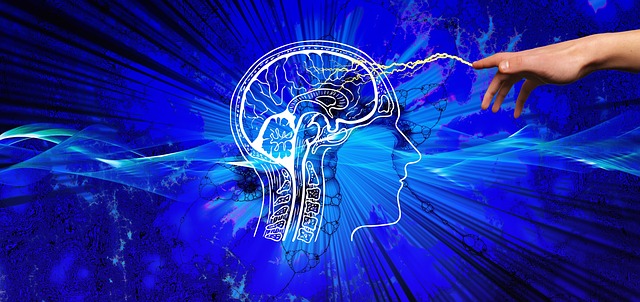 Réinventez vos réunions avec les neurosciences*